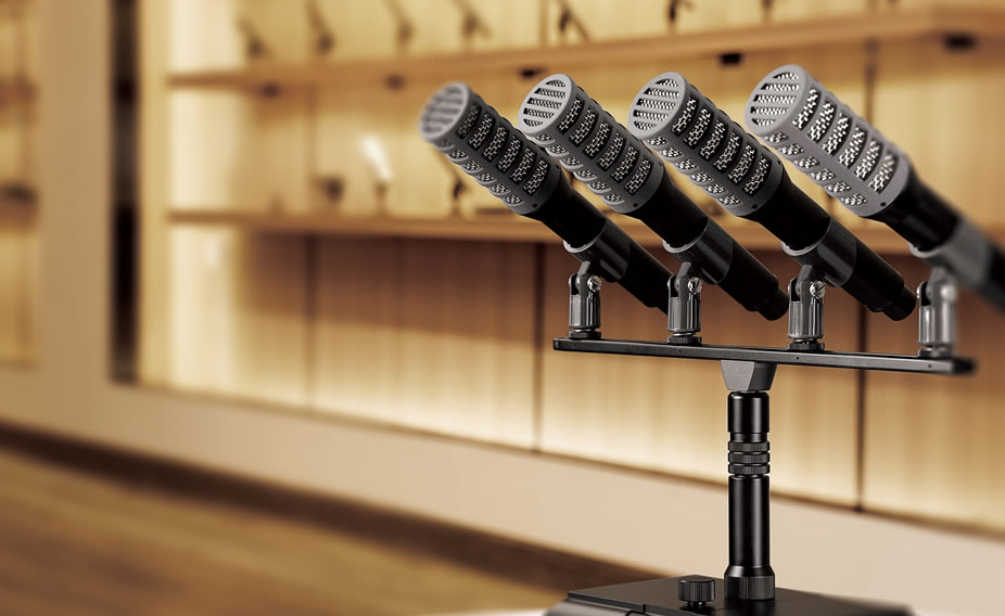 Lecturing Microphone 